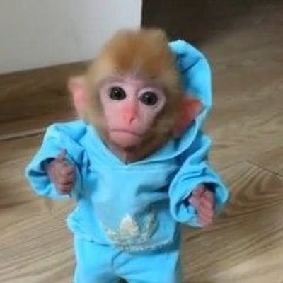MONKE logo